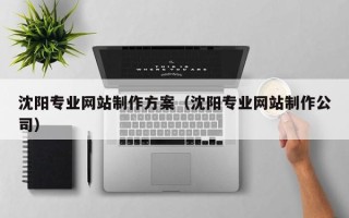 兴安盟沈阳专业网站制作方案（沈阳专业网站制作公司）